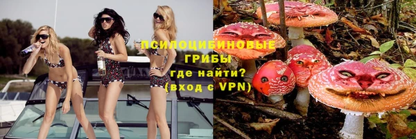 стафф Горно-Алтайск