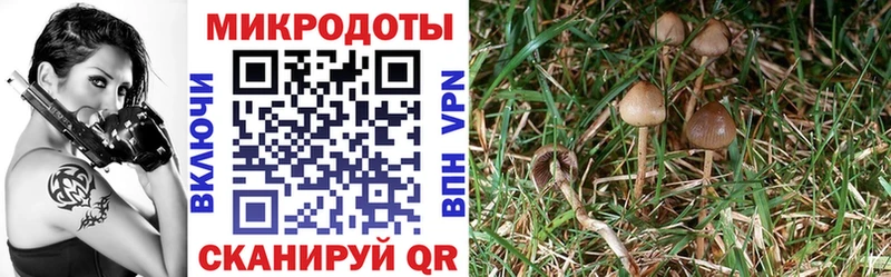 Псилоцибиновые грибы Magic Shrooms  цены   Озёрск 